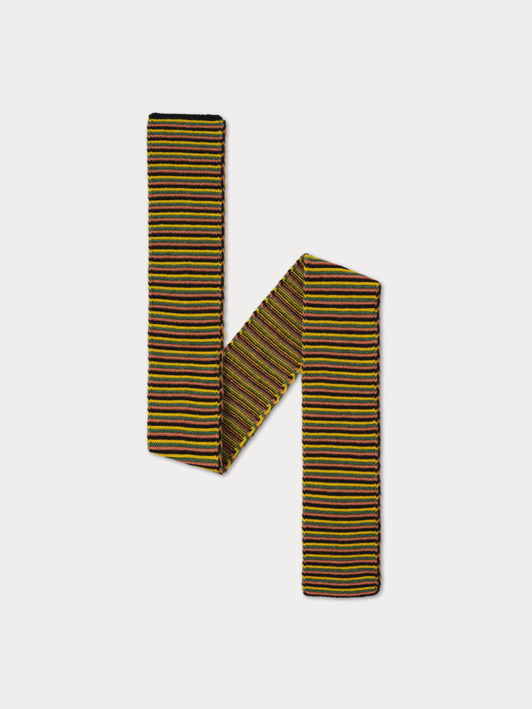 multicolour striiped scarf