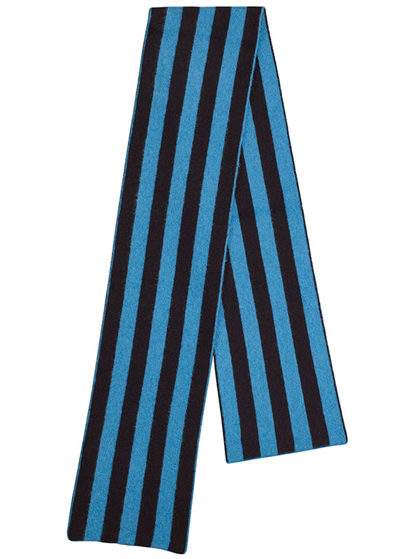 Brushed Vertical Stripe Scarf Black & Fiji Sample Sale